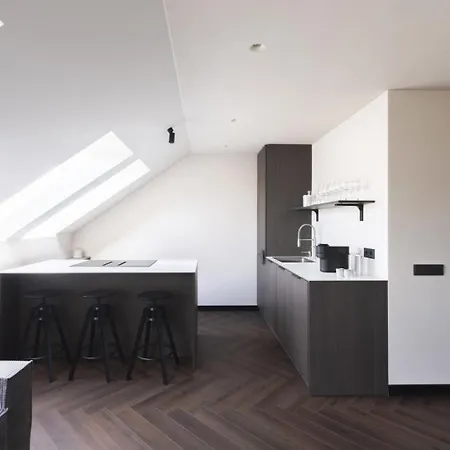 Pylimo Duplex | Old Town By Domvia Apartament Wilno